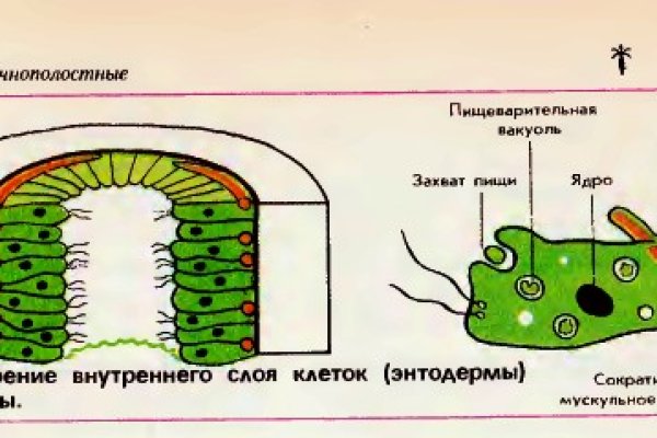 Ссылка на кракен в тор браузере kr2web in