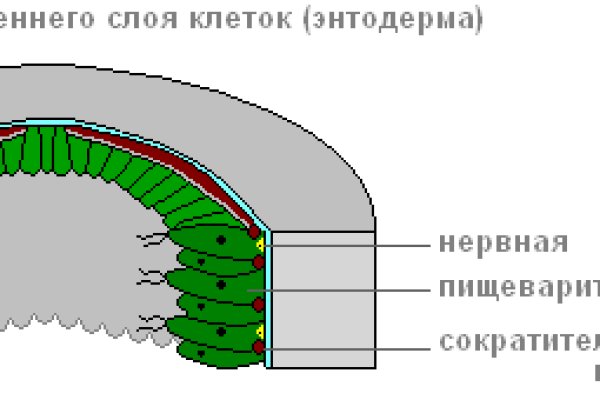 Кракен ссылка на тор официальная онион