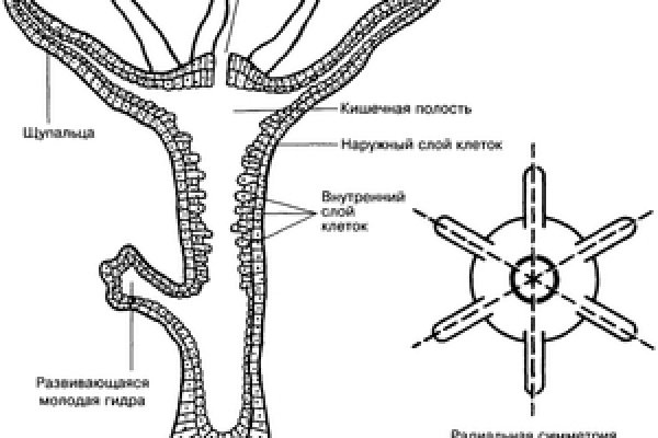 Kraken ссылка зеркало официальный