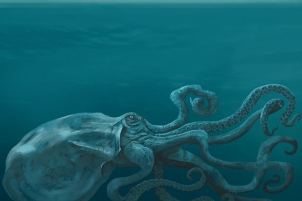 Kraken адрес